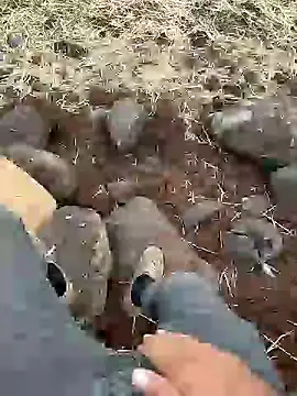 murokkk31 online show from 12-11-24, 12:23