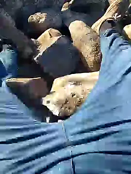 murokkk31 online show from 01-10-25, 07:35