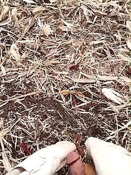 murokkk31 online show from 09-15-25, 02:55