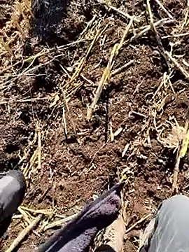 Snapshot of murokkk31 chatting on 12-18-25, 09:37 murokkk31 online show from 12-18-25, 09:37