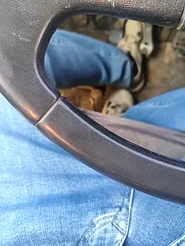 Snapshot of murokkk31 chatting on 01-08-26, 08:27 murokkk31 online show from 01-08-26, 08:27