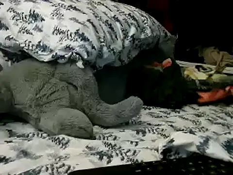 Snapshot of WHITEDAROSE chatting on 01-15-25, 02:13 WHITEDAROSE online show from 01-15-25, 02:13