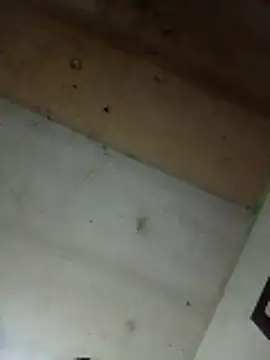 Alonsomadeira online show from 04-10-26, 09:25