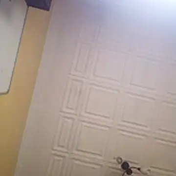 Snapshot of wlammi_ptr chatting on 01-19-26, 10:41 wlammi ptr online show from 01-19-26, 10:41