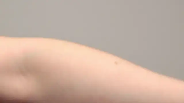 AliceMunro online show from 01-25-25, 01:32