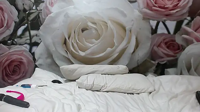 Snapshot of Sexysilverfoxxx chatting on 12-03-24, 04:03 Sexysilverfoxxx online show from 12-03-24, 04:03