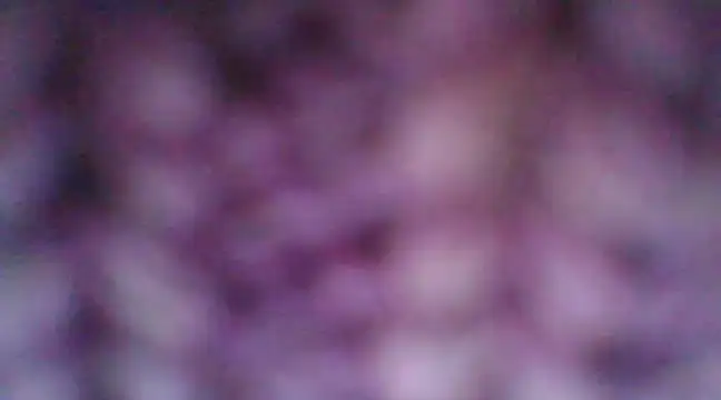 mia cooper 24 online show from 12-30-24, 07:00