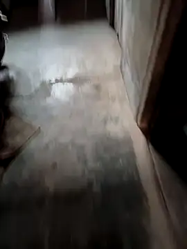 Snapshot of biharihotlund chatting on 02-20-25, 02:29 biharihotlund online show from 02-20-25, 02:29