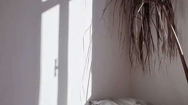 Snapshot of my_lina chatting on 10-17-25, 06:27 my lina online show from 10-17-25, 06:27