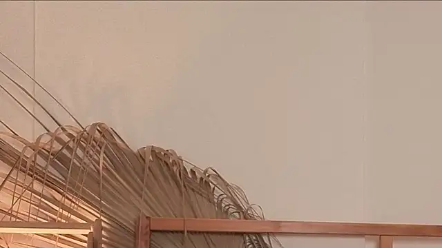 my lina online show from 04-24-26, 05:54