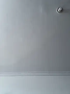 Sara luna  online show from 12-14-24, 09:56