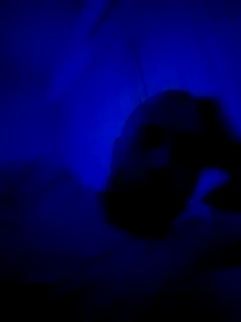 HELL FIRE online show from 09-30-25, 05:23