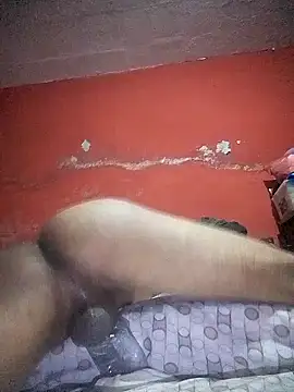 Snapshot of VL25DN26 chatting on 12-22-24, 01:33 VL25DN26 online show from 12-22-24, 01:33