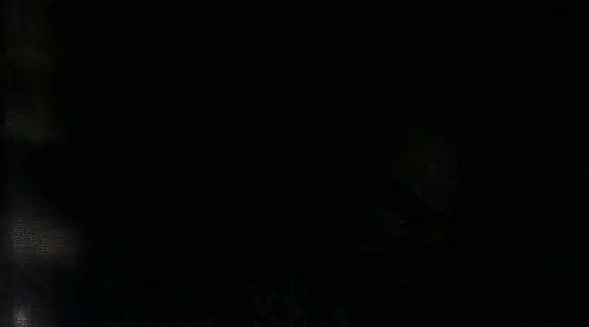 RenziTatte online show from 03-22-25, 02:16