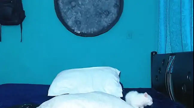 Snapshot of Dirtymatthew chatting on 02-10-25, 06:03 Dirtymatthew online show from 02-10-25, 06:03