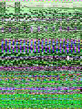 Snapshot of -SHINON- chatting on 11-09-25, 11:52 -SHINON- online show from 11-09-25, 11:52