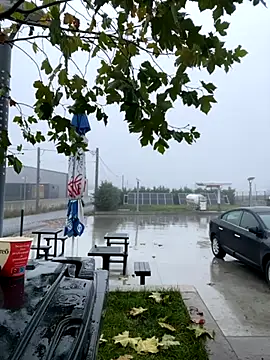 Snapshot of baramadalin chatting on 11-21-25, 05:28 baramadalin online show from 11-21-25, 05:28