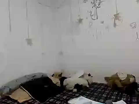 Snapshot of Nissha_johosonn chatting on 12-13-24, 01:04 Nissha johosonn online show from 12-13-24, 01:04