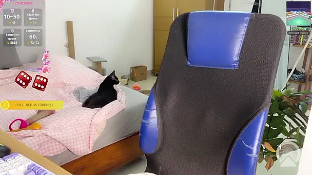 ashy 7999 online show from 03-14-26, 12:43