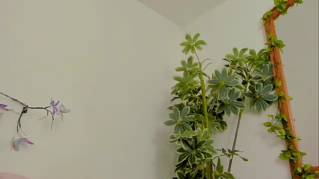 BonnieCute  online show from 03-17-26, 11:41