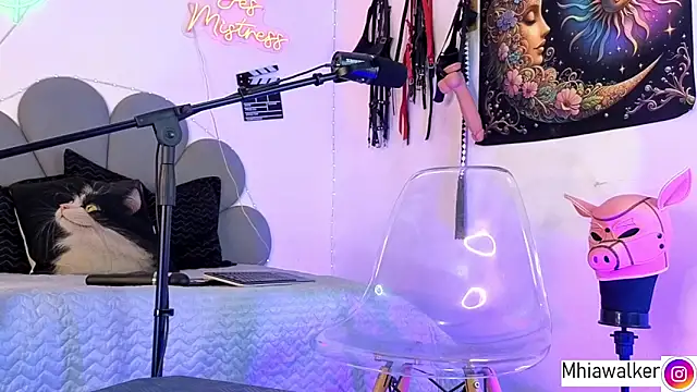 Snapshot of MhiaCorleone chatting on 02-28-26, 09:32 MhiaCorleone online show from 02-28-26, 09:32