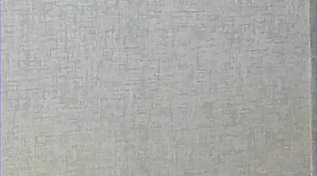 Ricardogo19 online show from 03-22-25, 02:37