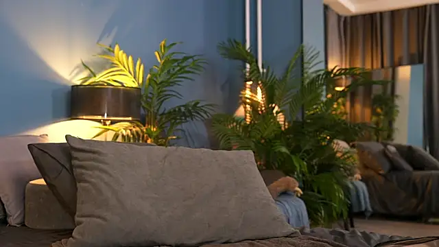  keeti  online show from 11-01-25, 11:29