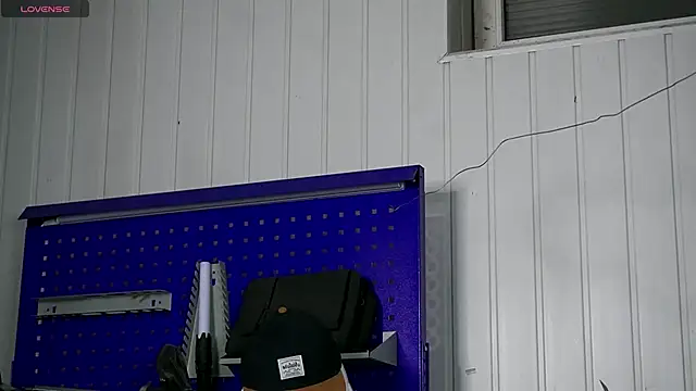 dustyn fox online show from 11-15-25, 03:08