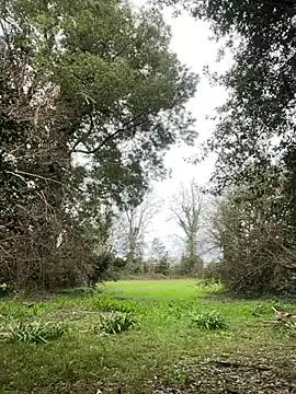 Alicia Hot1 online show from 02-10-25, 02:05