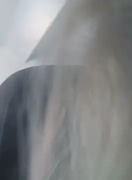 Linda 999 online show from 09-19-25, 09:54