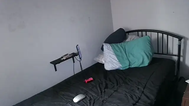 Boogieflex1 online show from 11-26-25, 05:58