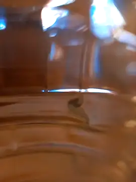 kx93 online show from 10-07-25, 03:47