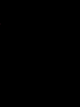 Zenfox24 online show from 07-23-26, 04:10