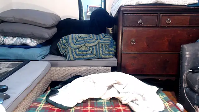 ladyscarlotta online show from 02-09-25, 04:50