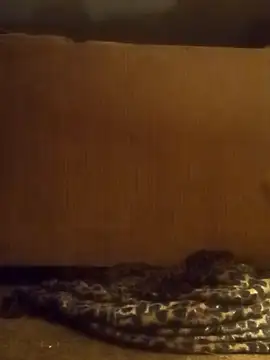 Snapshot of luke_thighwalker2469 chatting on 02-08-25, 01:11 luke thighwalker2469 online show from 02-08-25, 01:11