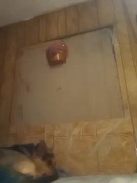 Snapshot of luke_thighwalker2469 chatting on 02-15-25, 01:16 luke thighwalker2469 online show from 02-15-25, 01:16