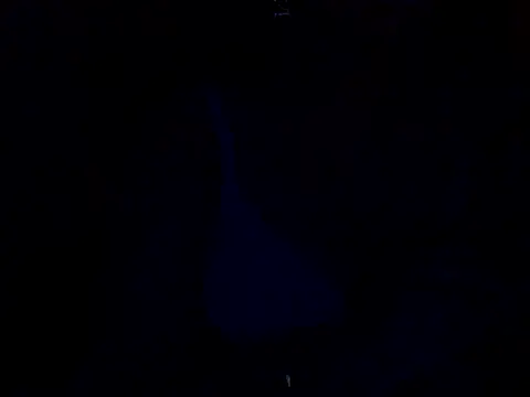 Snapshot of sanam_rose chatting on 01-02-25, 12:03 sanam rose online show from 01-02-25, 12:03