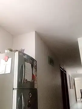 cazaperdidas online show from 03-03-26, 01:28