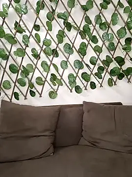 Bold-Cat online show from 10-02-25, 08:16