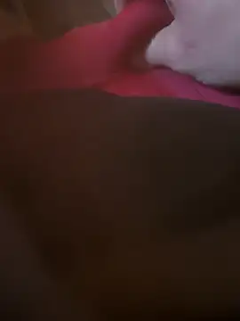 Snapshot of Fjome chatting on 11-15-25, 08:00 Fjome online show from 11-15-25, 08:00