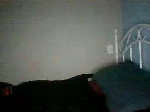 Snapshot of SmokingSloth chatting on 03-16-25, 11:27 SmokingSloth online show from 03-16-25, 11:27