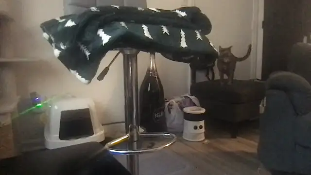 SpunCandy online show from 03-20-26, 08:25