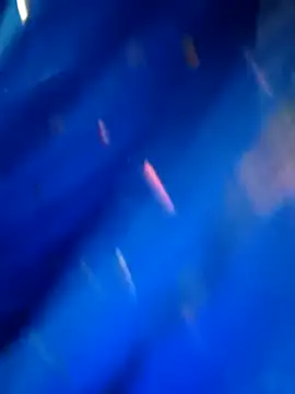 Snapshot of sneha_rose chatting on 09-08-25, 05:12 sneha rose online show from 09-08-25, 05:12