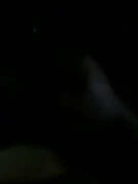 Josevictor650 online show from 06-16-26, 07:33