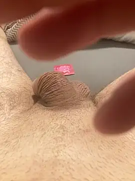 piler123 online show from 02-06-26, 01:54