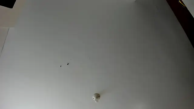 evely coelloo online show from 11-05-25, 04:07