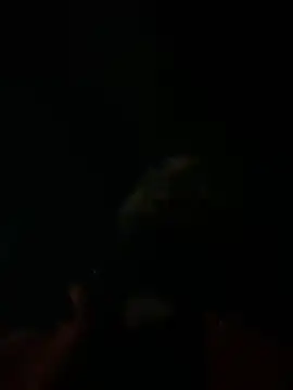 Snapshot of Rastamanzigy22 chatting on 02-12-26, 02:06 Rastamanzigy22 online show from 02-12-26, 02:06