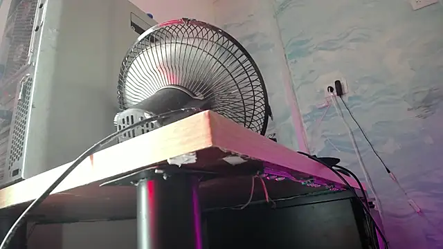 baihu jin online show from 12-25-24, 04:54