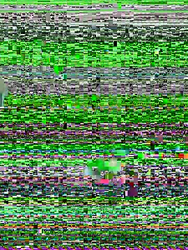 YawlingJingoist online show from 03-19-26, 11:20