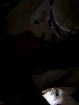 Snapshot of Sweet-Angel999 chatting on 11-30-25, 05:28 Sweet-Angel999 online show from 11-30-25, 05:28